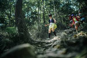 BIB: 
                            <button type="button" onclick="openModal(25990680)" class="btn btn-primary btn-sm float-right btn-popup" data-toggle="modal" data-target=".modal-high-quality">
                        <i class="fas fa-shopping-cart"></i> Add to Cart
                    </button>
                                            <button type="button" onclick="isThisMe(25990680, true)" class="btn btn-success btn-sm float-right btn-popup btn-isme hidden" data-toggle="tooltip" data-placement="bottom" title="นี่คือรูปของคุณใช่ไหม คลิกที่นี่เพื่อเอาเข้าอัลบั้ม">
                        <i class="fas fa-plus"></i> Add to album
                    </button>
                    <button type="button" onclick="isThisMe(25990680, false)" class="btn btn-warning btn-sm float-right btn-popup btn-isnotme hidden">
                        <i class="fas fa-ban"></i> Remove from album
                    </button>